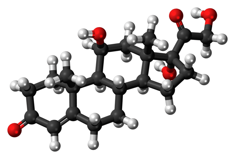 Cortisol Molecule