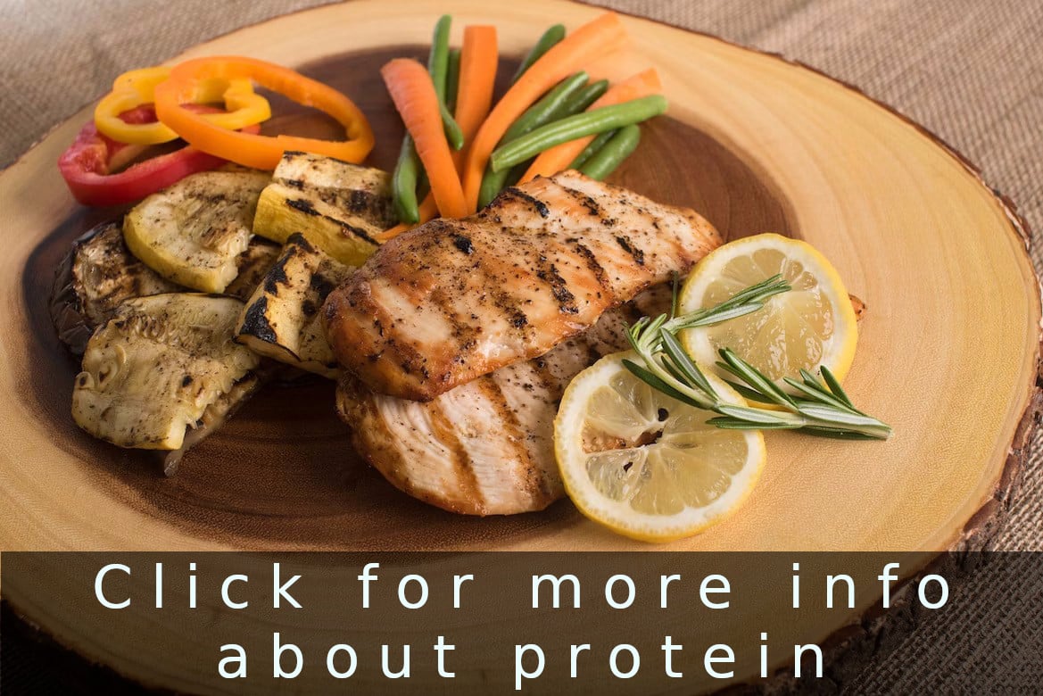 protein_contains_the_building_blocks_of_muscle_biofit_st_louis_strength_fitness_longevity_click_for_more_info Protein is Vital for Muscle Growth and Recovery